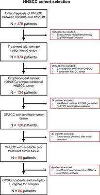 Response to primary chemoradiotherapy of locally advanced oropharyngeal carcinoma is determined by the degree of cytotoxic T cell infiltration within tumor cell aggregates